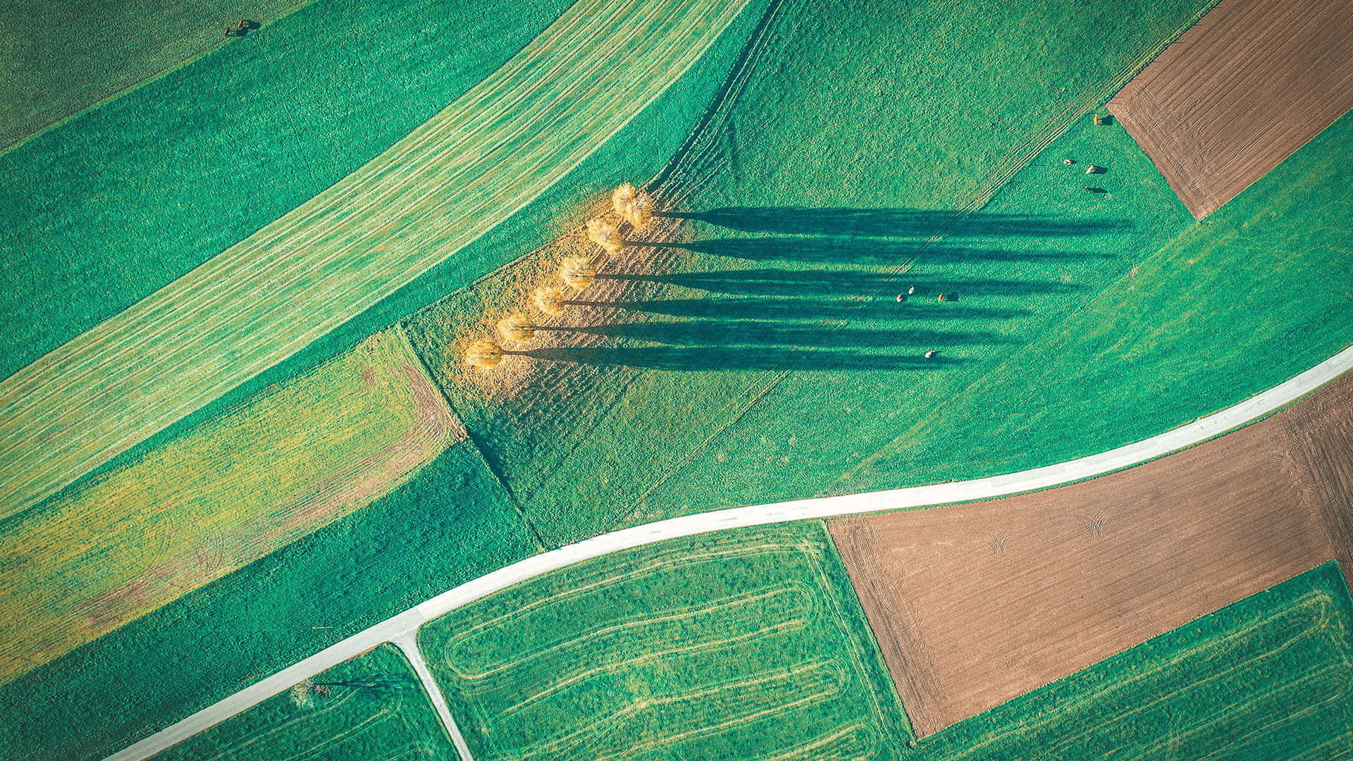建立您的私人遊覽